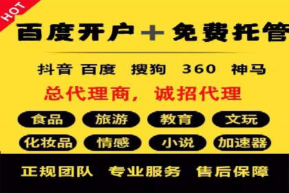 百度竞价广告投放策略案例